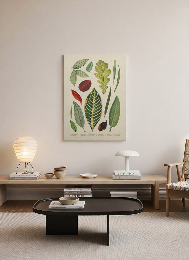 Botanik Yaprak Atlası –  Minimalist Kanvas Tablo