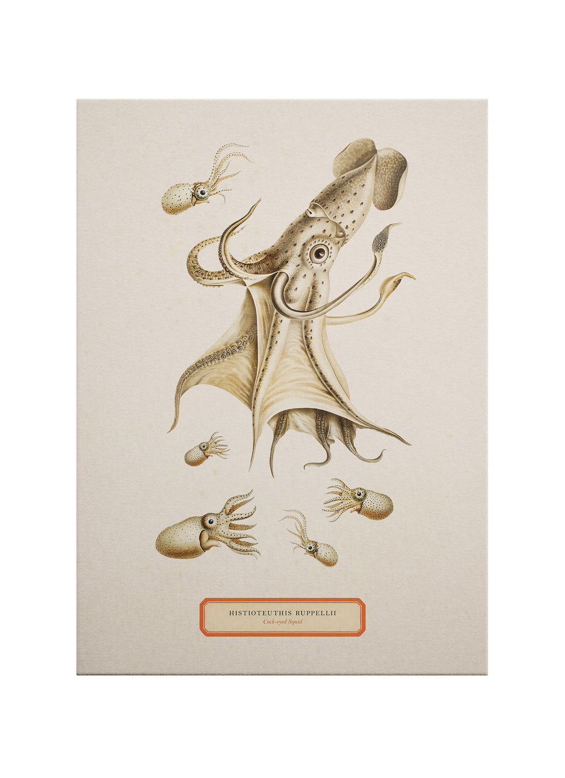 Dev Kalamar Bilimsel İllüstrasyon Kanvas Tablo