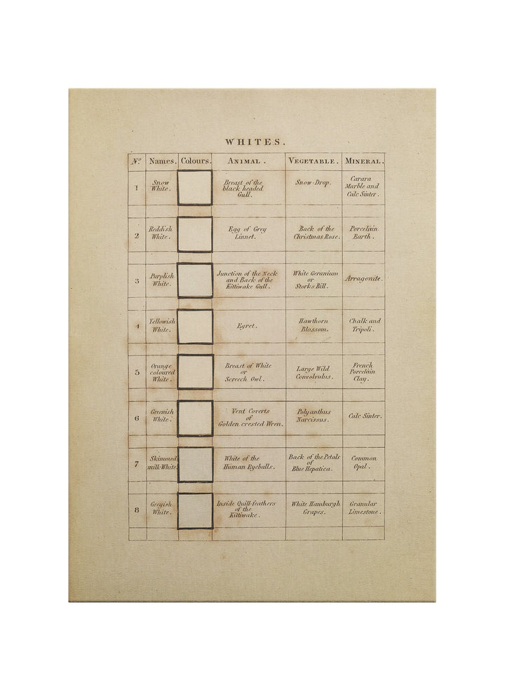 Doğanın Renkleri – Beyaz Tonları