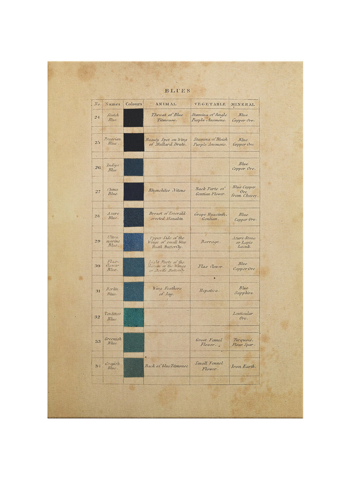 Doğanın Renkleri – Mavi Tonları