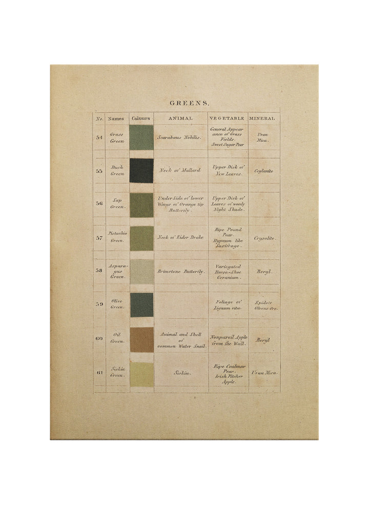 Doğanın Renkleri – Yeşil Tonları