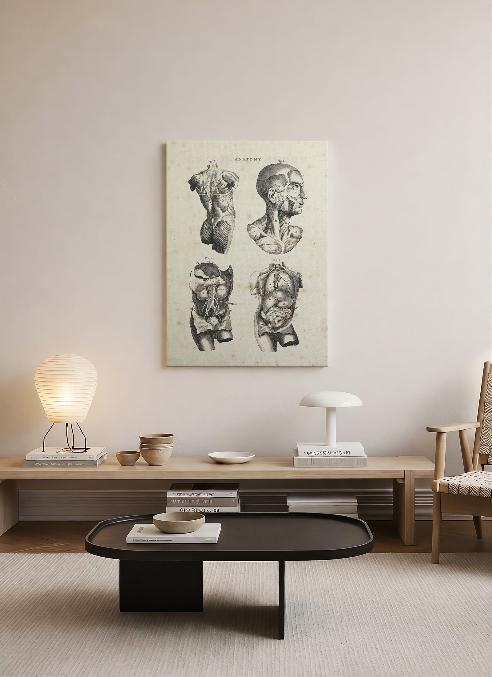 İnsan Anatomisi Kanvas Tablo | Vintage Tıbbi Gravür