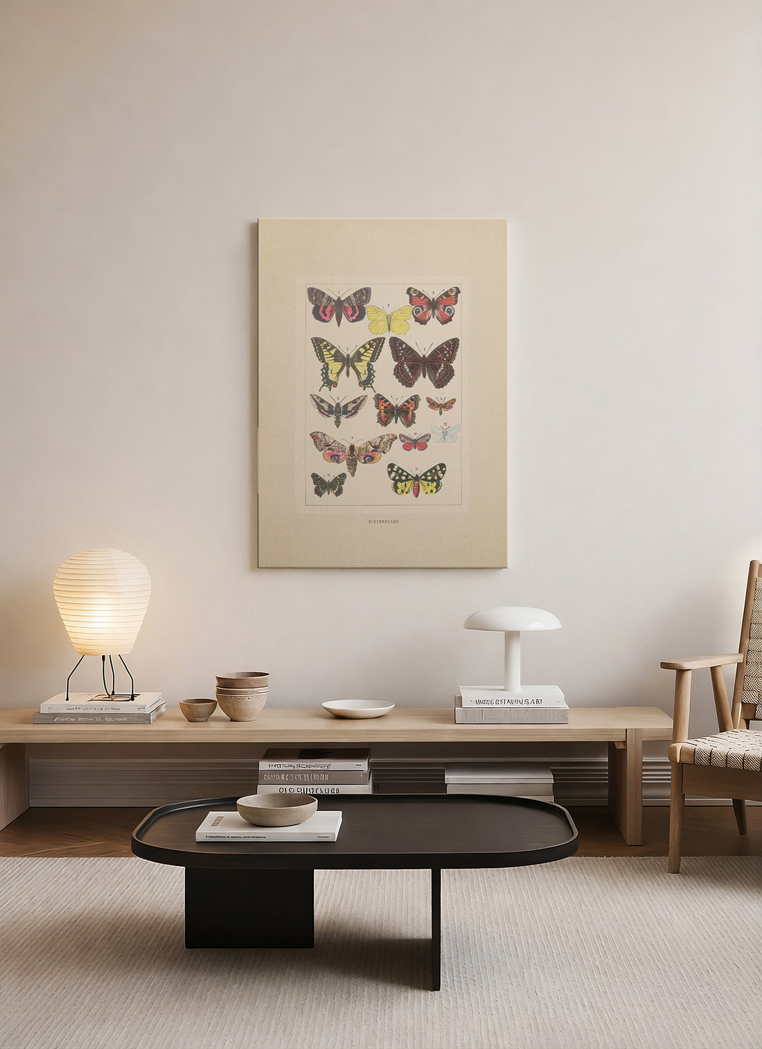 Kelebek Örnekleri Entomoloji İllüstrasyonu Kanvas Tablo