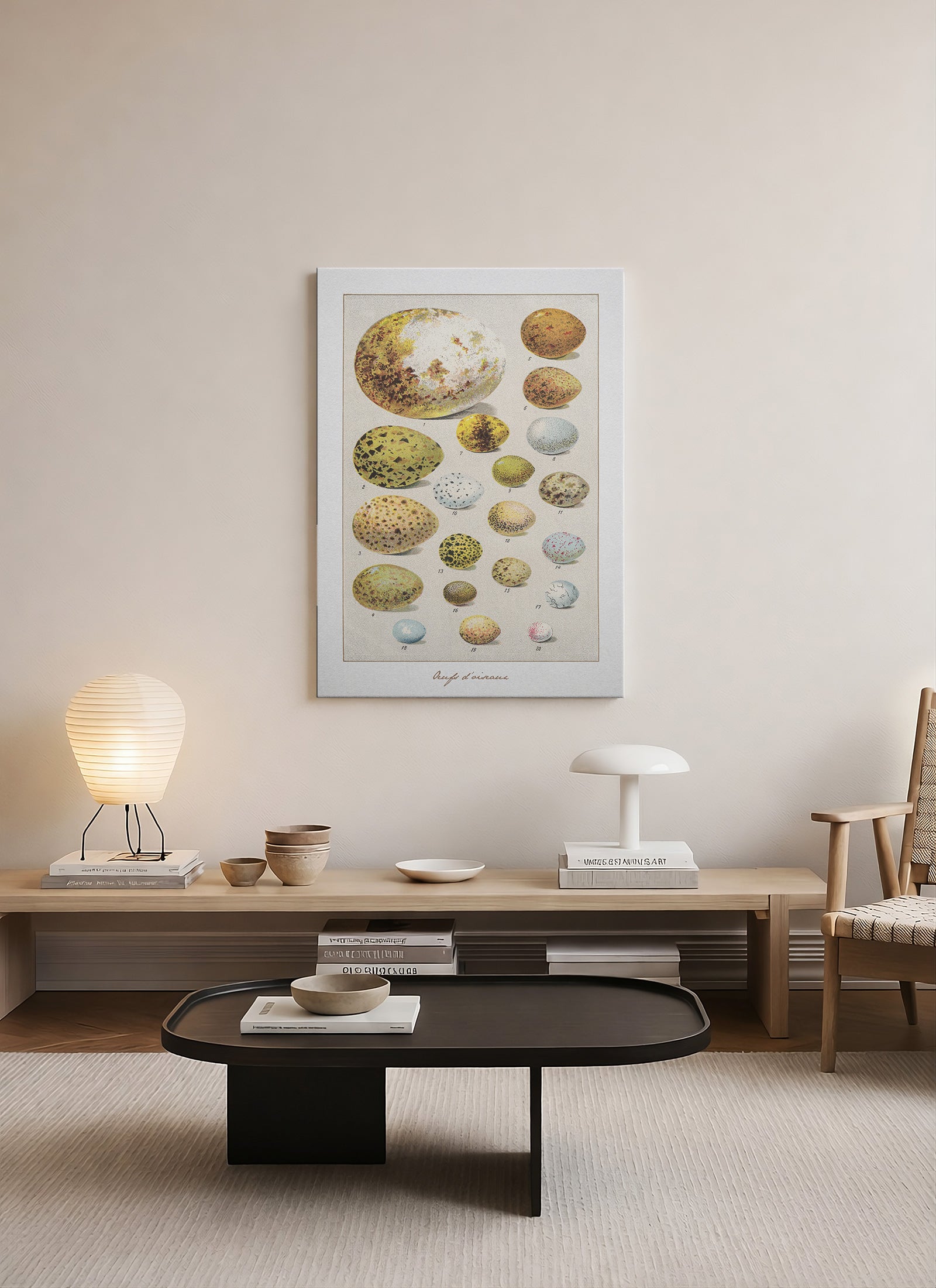 Kuş Yumurtaları İllüstrasyonu Kanvas Tablo