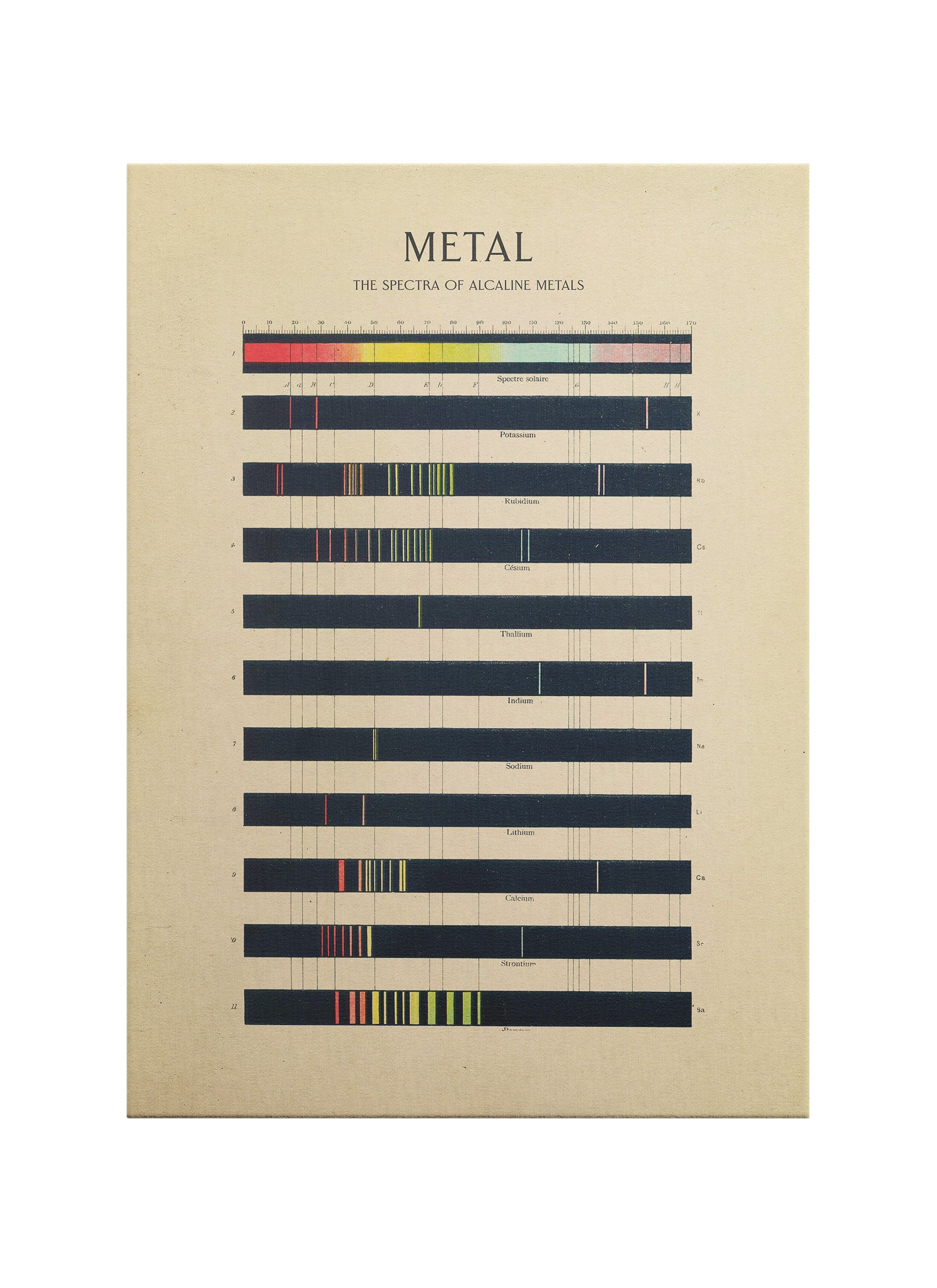 Metal Spektrumu – Alkali Metallerin Işık İzleri | Bilimsel Spektrum Diyagramı