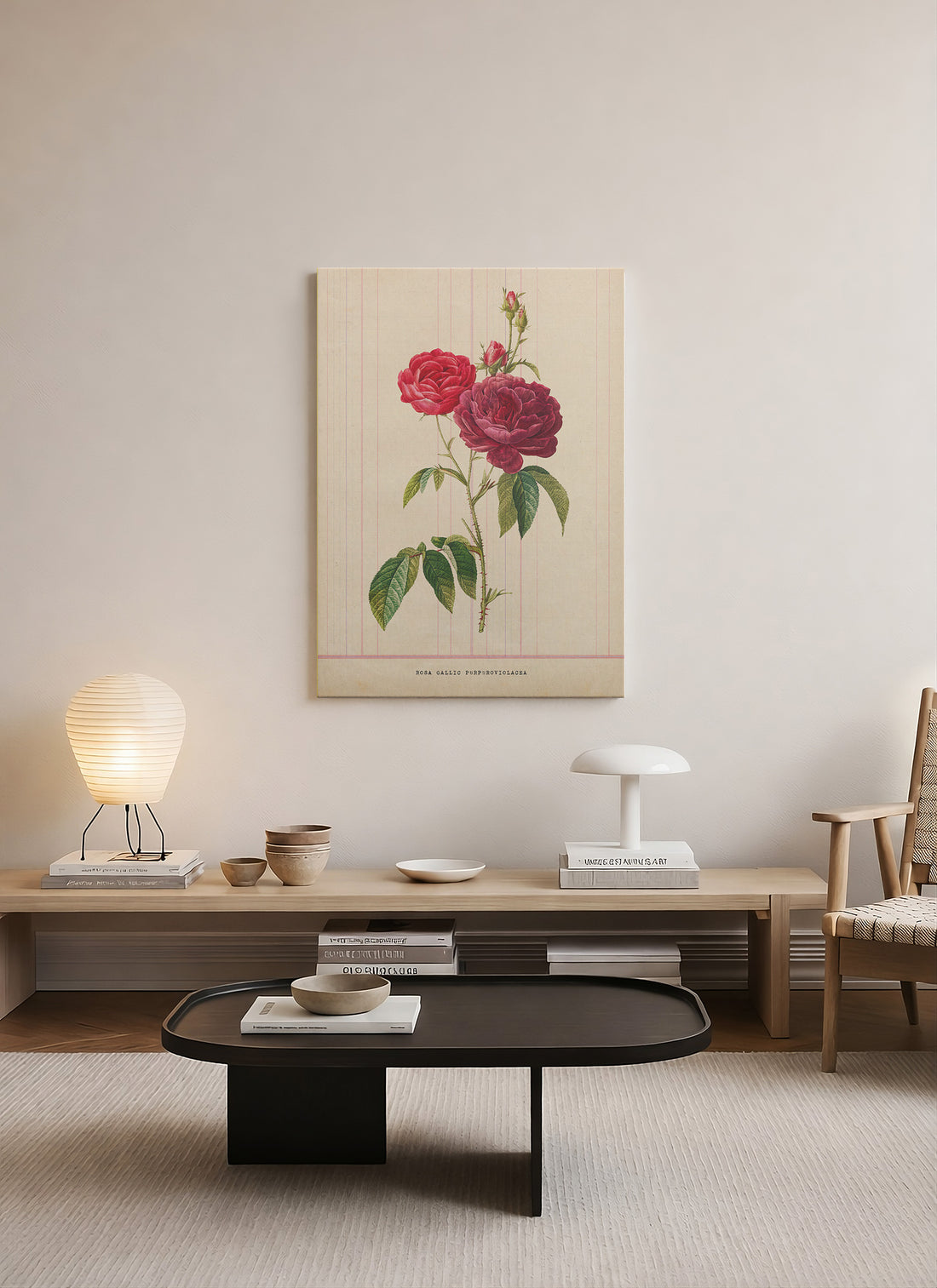 Vintage Botanik Gül İllüstrasyonu – Rosa Gallica