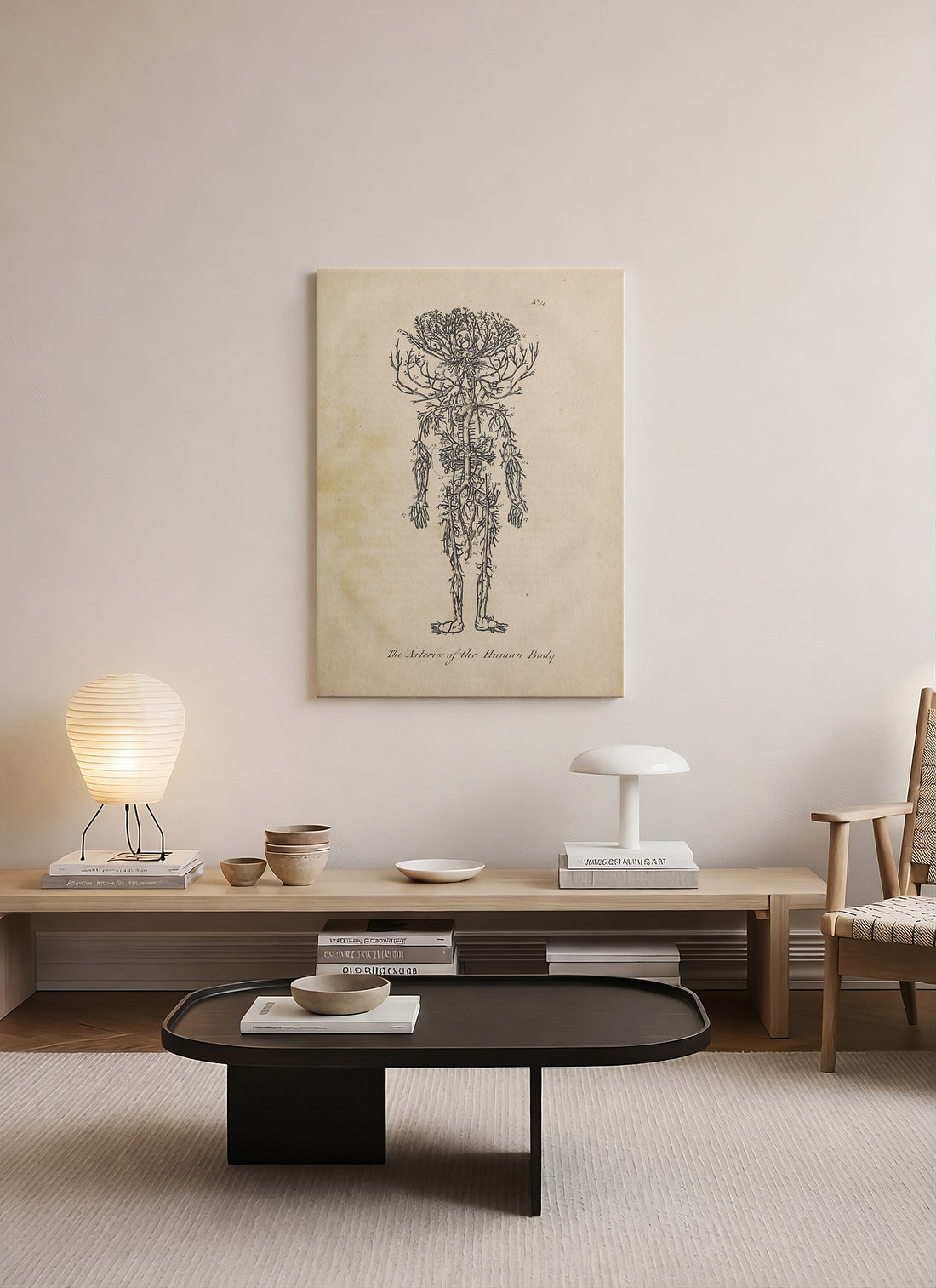 Yaşam Akışının Anatomik Diyagramı